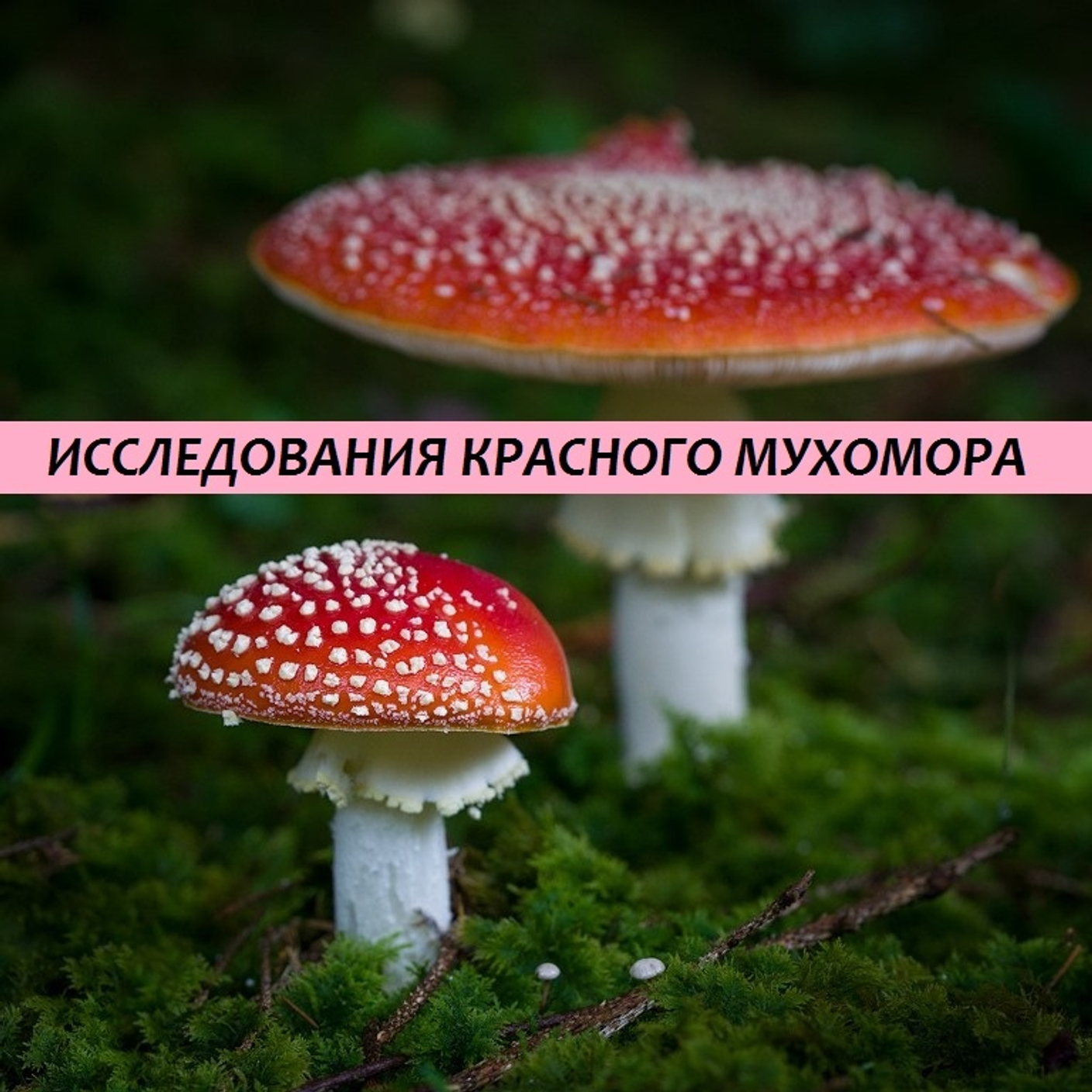 Тест Почему у меня часто болит голова? В чем причина?