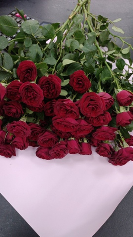 9 веточек кустовых