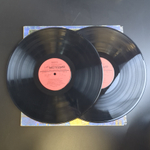 2 LP Питер Пэн и Венди - Детская Сказка Дж.Барри Инсценировка. 2 Виниловые пластинки 12 дюймов. Мелодия СССР 1983 год.