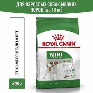 Уценка! Срок до 06.2024/ Корм для собак мелких пород, Royal Canin Mini Adult