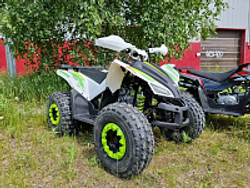 КВАДРОЦИКЛ PROMAX SPORT - PRO 180 (2025)
