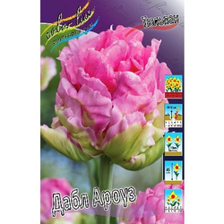 Тюльпан Дабл Ароуз