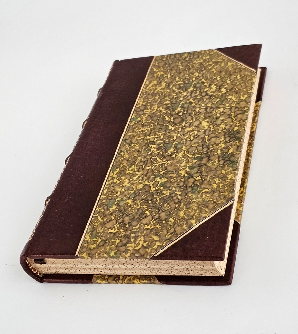 "Геологические очерки"  Л.Агаиссис  1867 г.