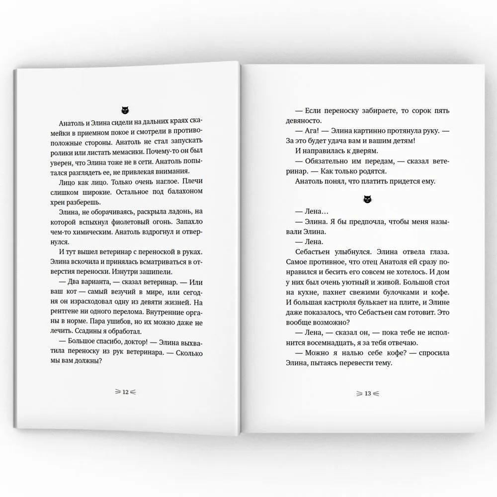 Закон сохранения кота