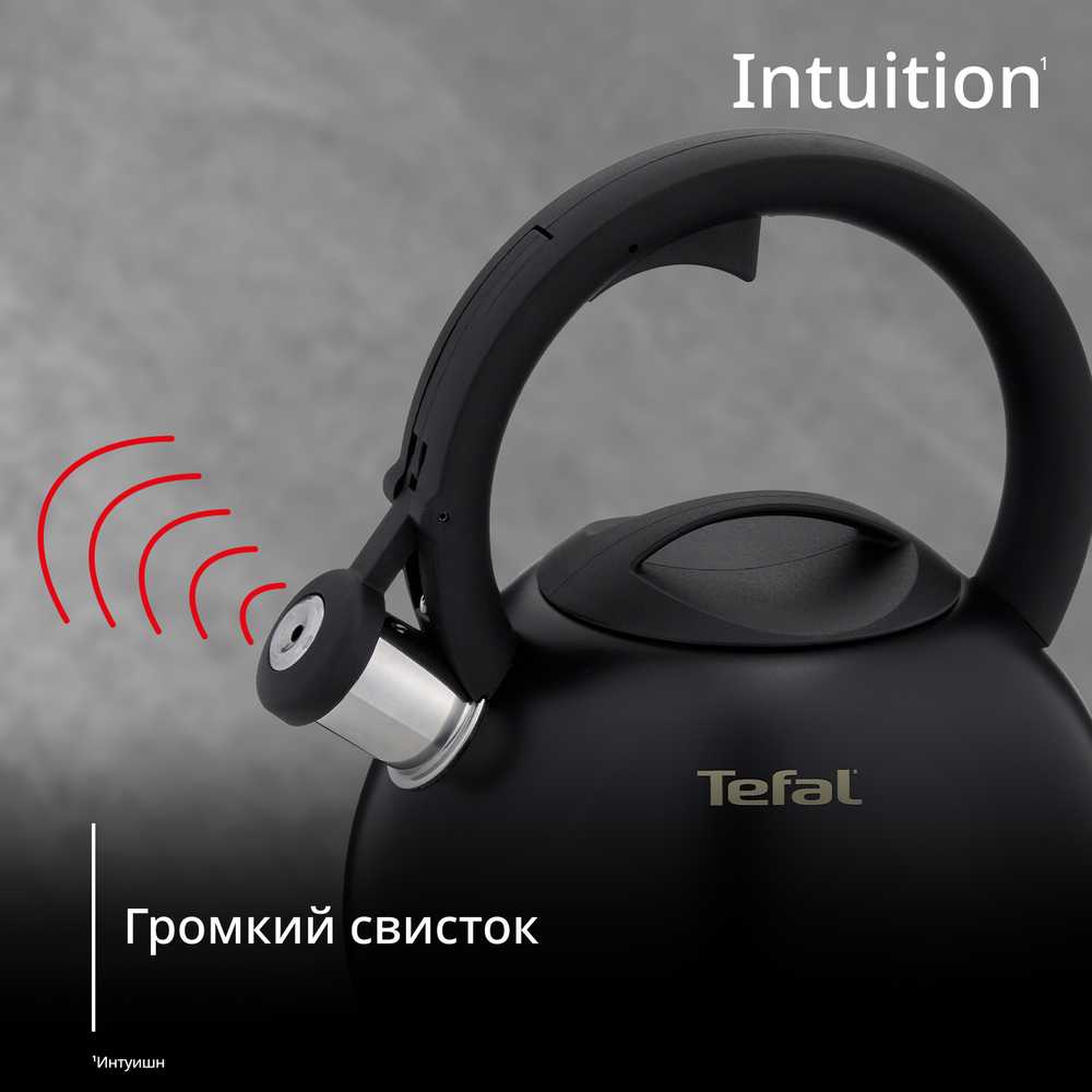 Чайник для плиты Tefal Intuition 2.5 л N4180417