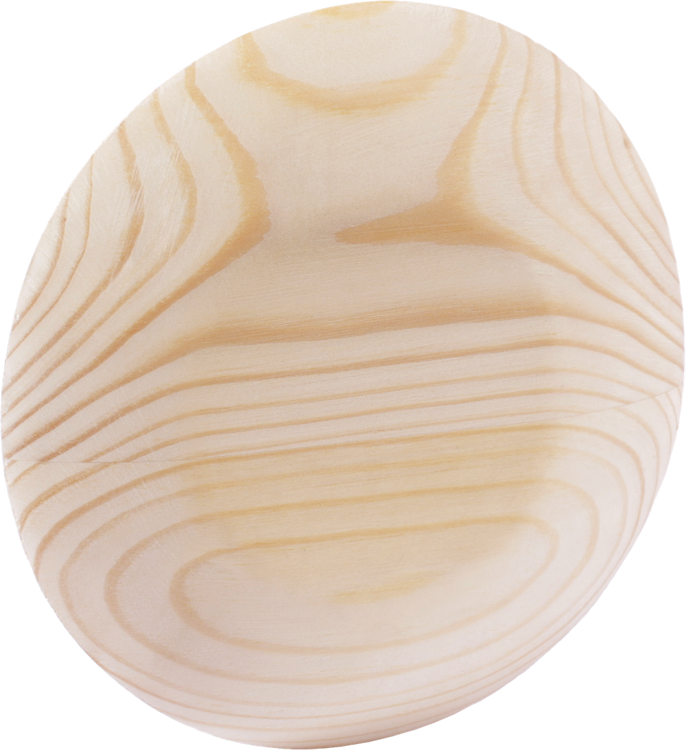 SAWO Заглушка вентиляционная диаметр 100мм, 631-Р