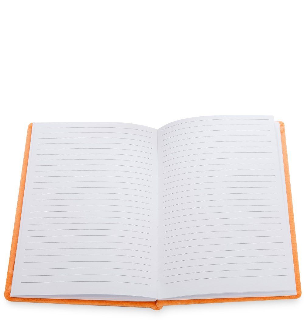 NB-45/8 Блокнот с кармашком «Для секретов»