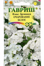 Флокс Очарование белое друммонда 0,05 г СМЦ-289
