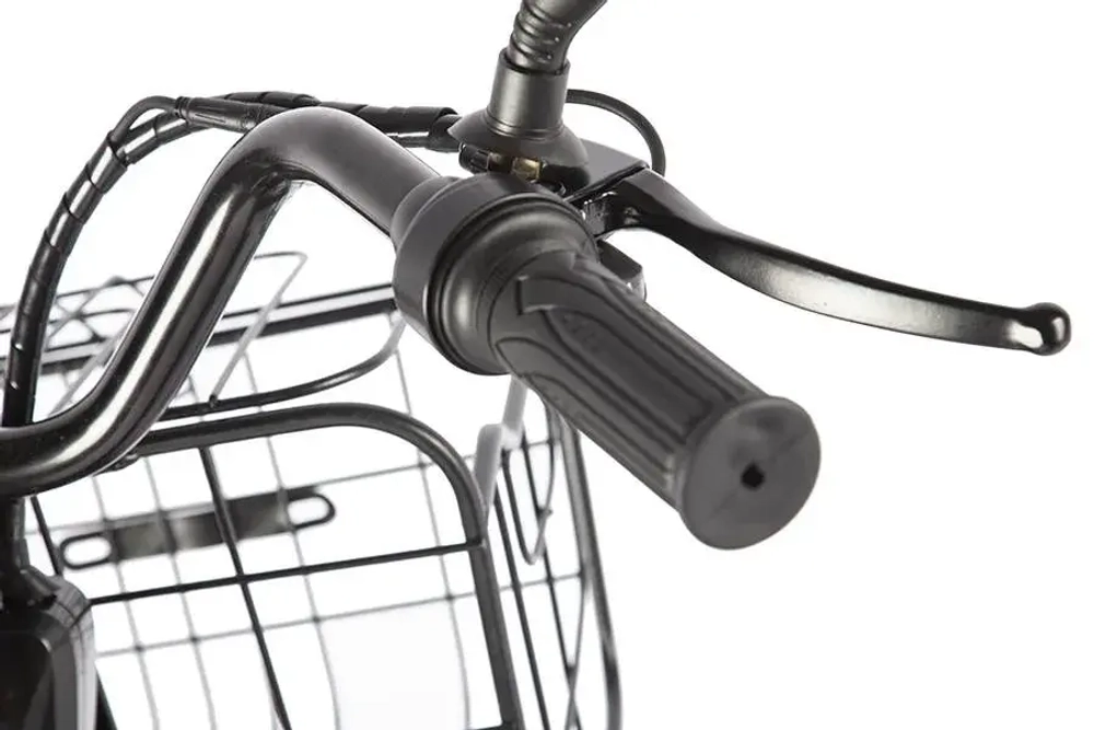 Электротрицикл Green City e-ALFA Trike