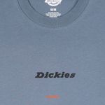  Футболка мужская Dickies Enterprise артикул:DK0A4YRNG701 - купить в магазине Дайс