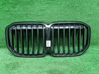 Решетка радиатора BMW X7 G07 (2019-2022)