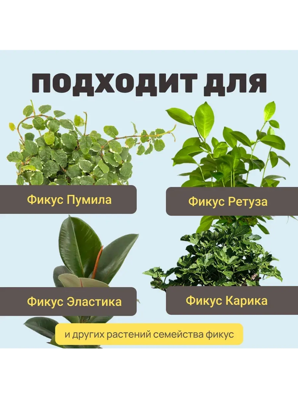 Органический грунт для фикуса 2 л