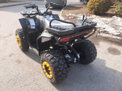 Квадроцикл бензиновый MOTAX GRIZLIK W200