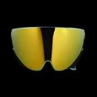Ruroc Gold Visor