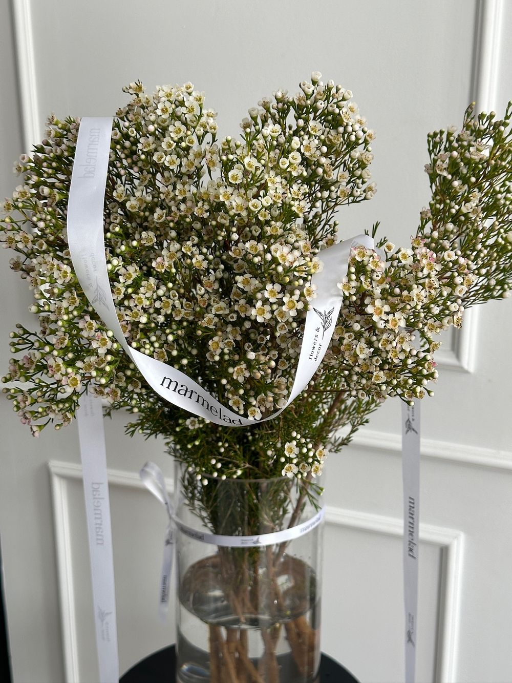 Хамелациум