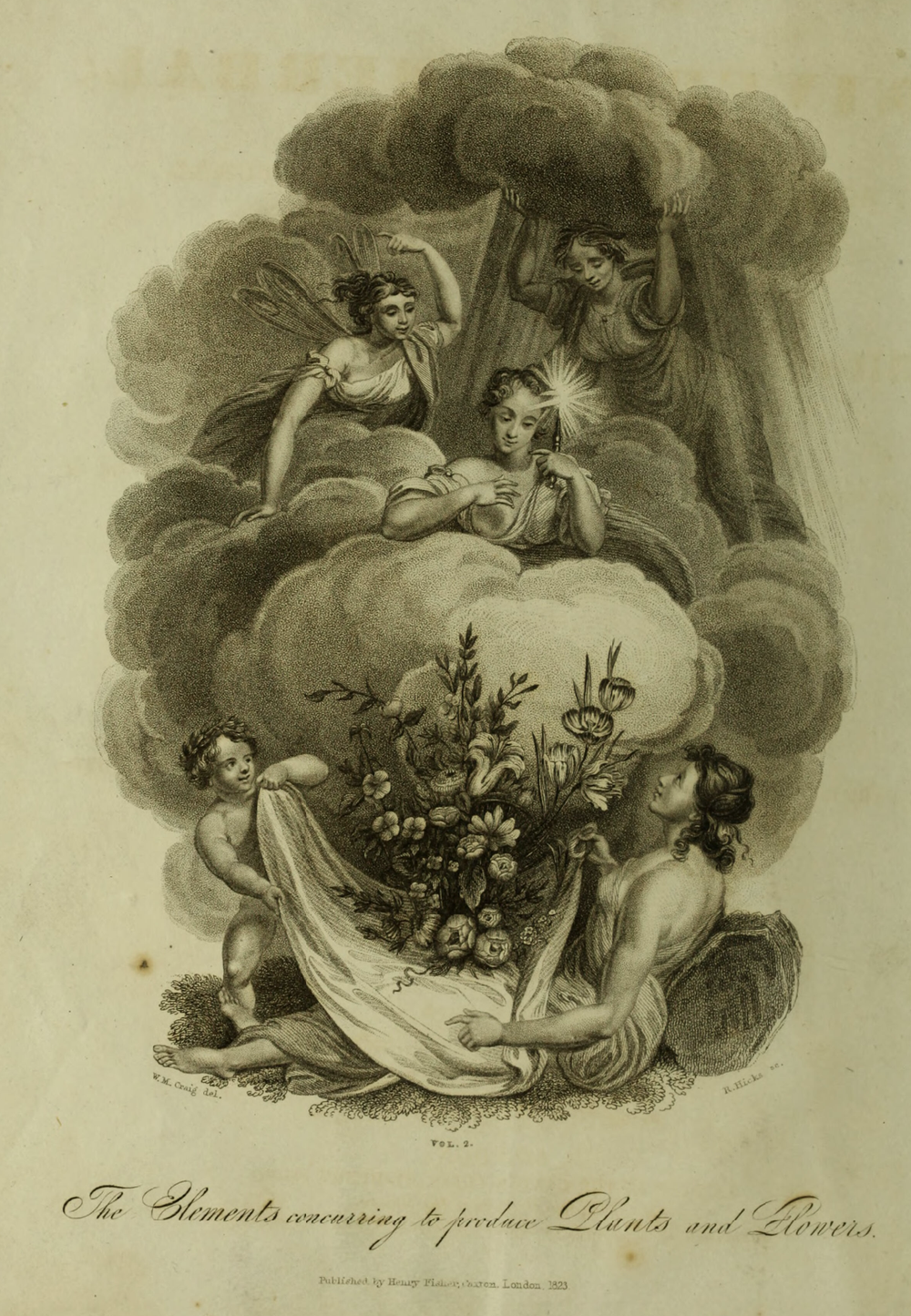 Bаза «Фиалка трехцветная» из коллекции «Ботанический сад»