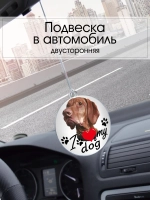 Подвеска в машину - Венгерская выжла