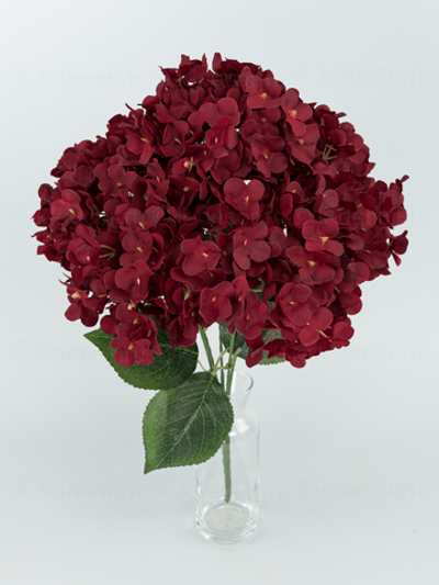 Букет гортензия Флора