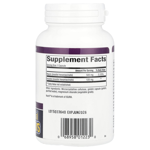 Natural Factors, ниацин, без приливов, 500 мг, 90 капсул
