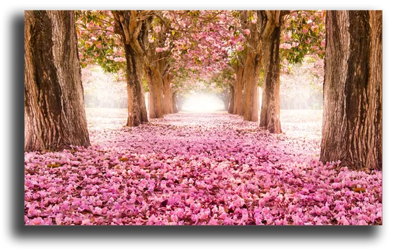 Постер "Розовый сад"