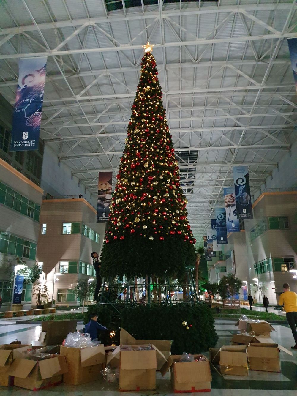 Уличная елка каркасная «Аврора» ED (пвх) от 8 м до 20,5 м