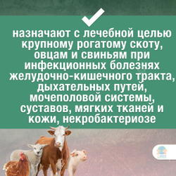 Раствор антибактериальный Амоксисан Apicenna, для инъекций животным, 10 мл. Амоксициллин.
