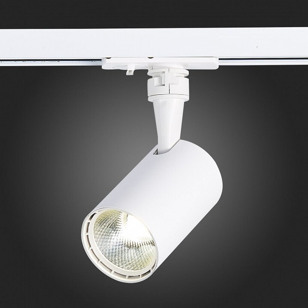 Светильник на штанге ST-Luce Cami ST351.536.10.36