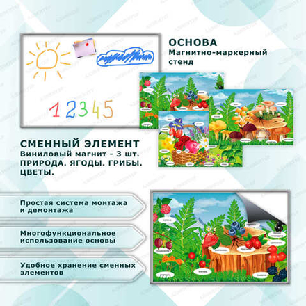 Комплект развивающий ПРИРОДА. ГРИБЫ. ЯГОДЫ. ЦВЕТЫ. 2202