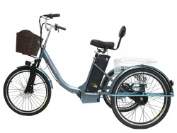 Электровелосипед Green Camel Трайк-B (R24 500W 48V 20Ah) задний привод