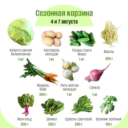 Сезонная корзина