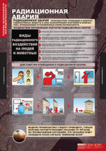Основы безопасности жизнедеятельности (13 таблиц, 68х98 см)