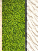 Панно из искусственного мха ягеля