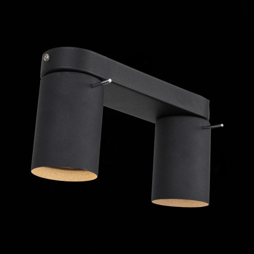 Потолочный светильник ST Luce FANALE SL597.401.02