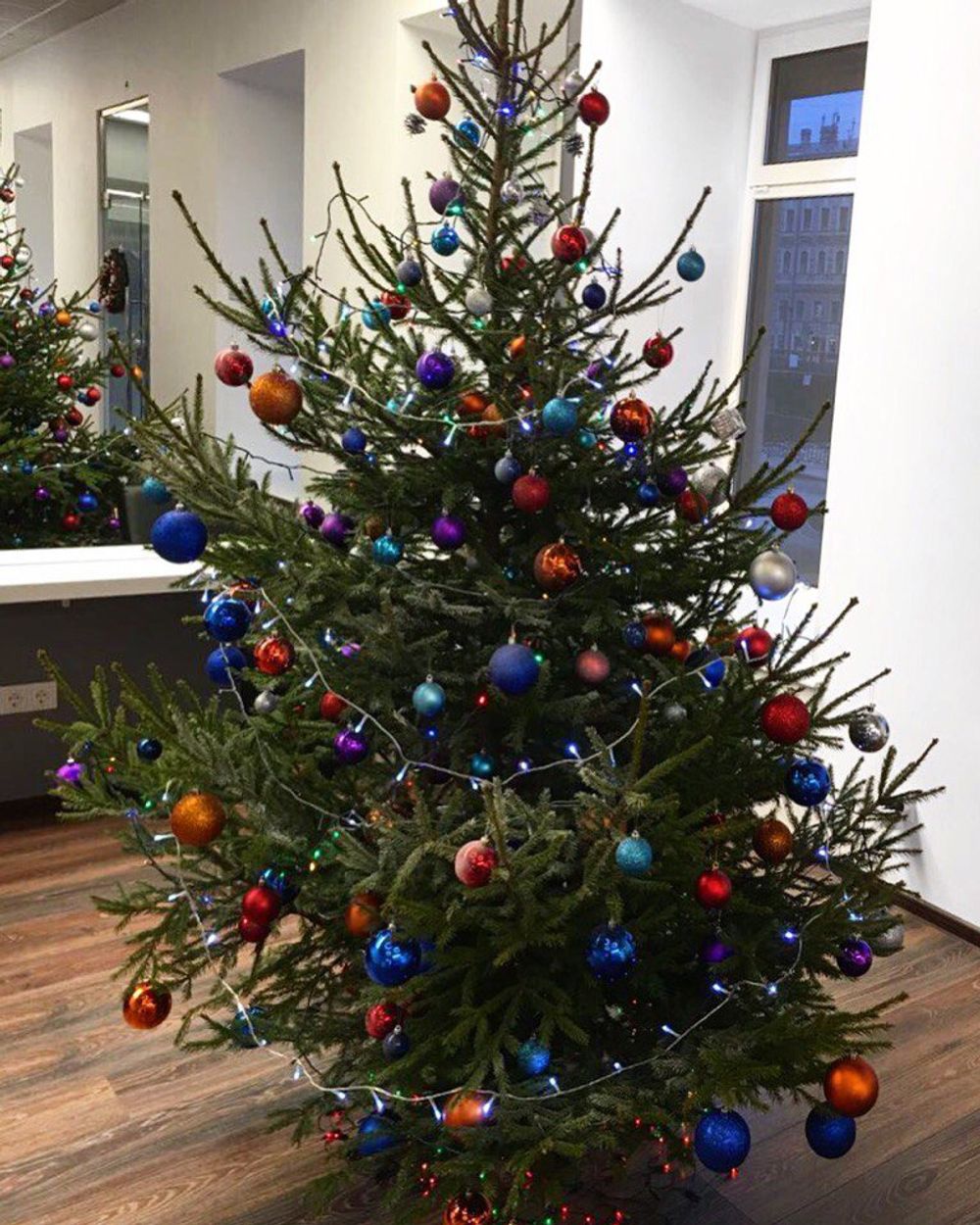 Фотогалерея