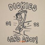  Футболка Dickies Decartuville артикул:DK0A87QT0DS1 - купить в магазине Дайс