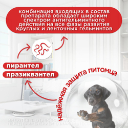 Паста от гельминтов Дирофен-60 для взрослых собак и кошек, 10мл