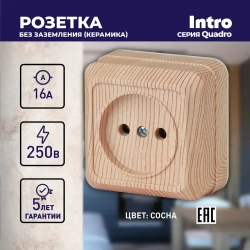 Розетка Intro Quadro 2-201-11 без заземления 2P 16А-250В IP20 открытой установки сосна
