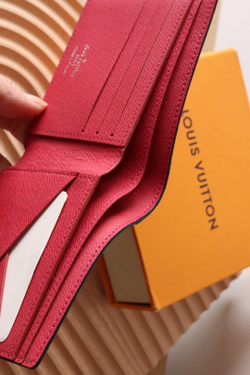 Louis Vuitton Multiple Wallet