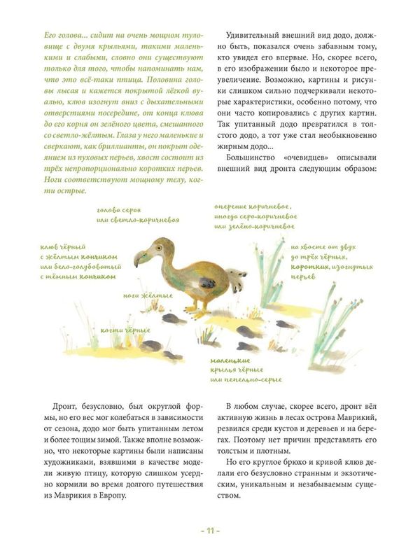 Жил да был додо. О вымирании и выживании видов