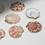 Подвеска из натуральной ракушки, украшенная позолотой, 43,5-49,5*42,5-52,5мм