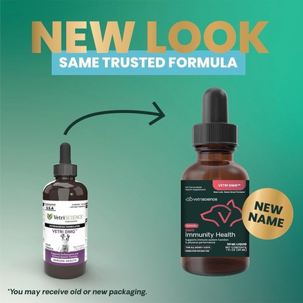 Vetri Science VETRI DMG Immunity Health | Диметилглицин