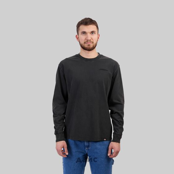 Лонгслив мужской Dickies Plentywood артикул:DK0A866CH861 - купить в магазине Дайс
