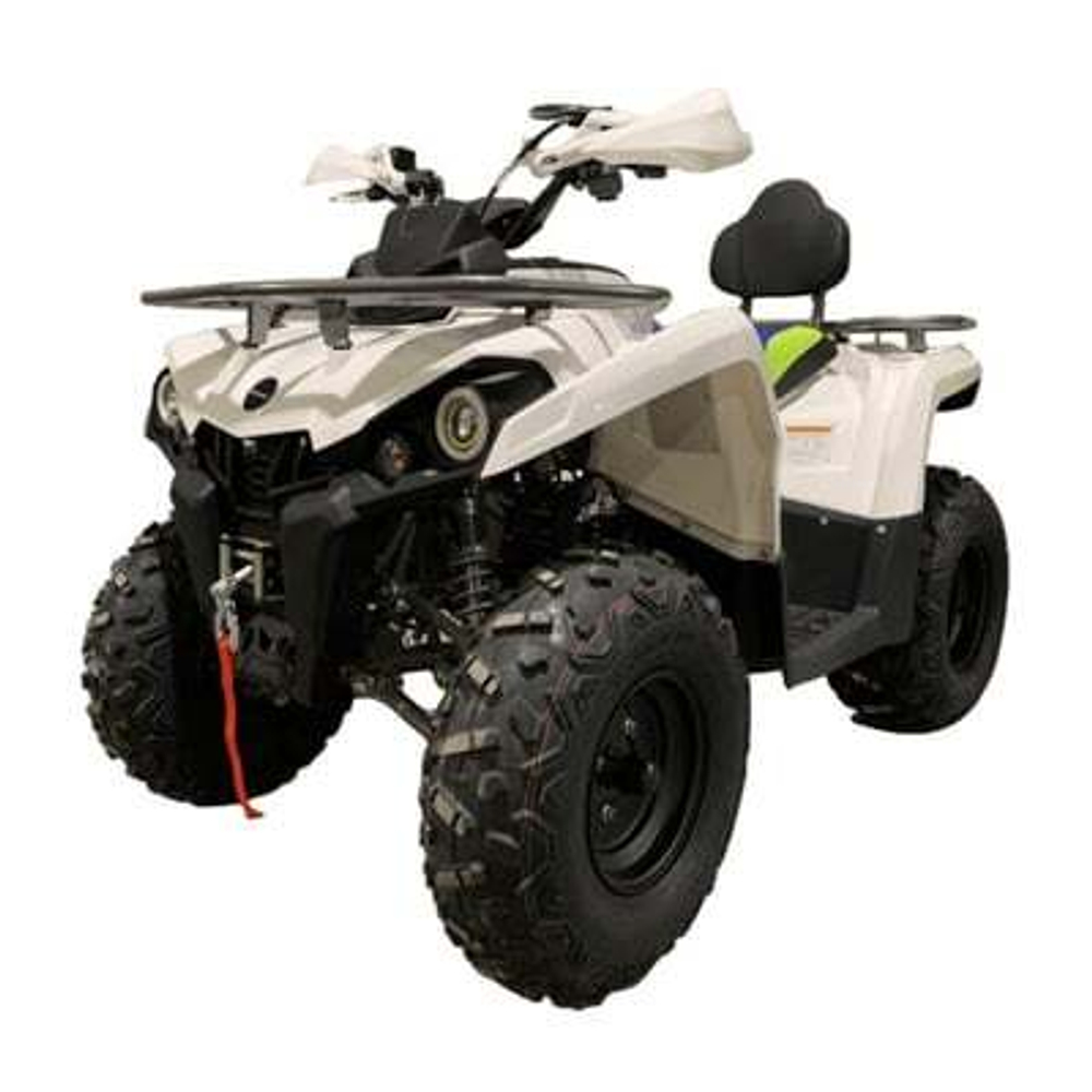 Квадроцикл MOTOLAND SHARK 200