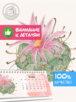 Календарь-домик "Кактусы 3"