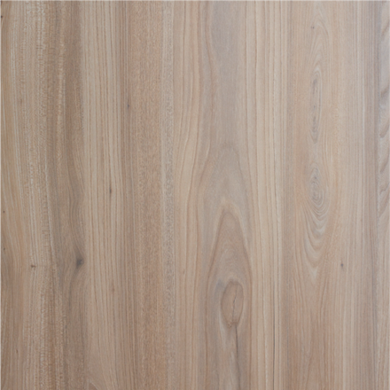 Дуб испанский ETW 18