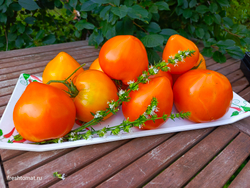 Озеро Брэт жёлтое сорт томата
