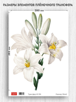 Трансфер для декупажа переводной рисунок для поверхностей 019