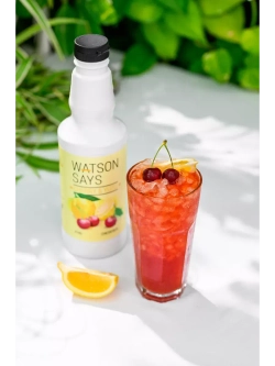 Основа для лимонадов и коктейлей WATSON SAYS Киви - Фейхоа 1кг