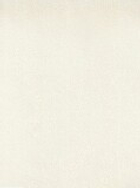 Ламинированный гипсокартон Forun 1013