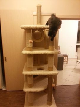 Игровой комплекс для кошки КУН-2 (мейн-кун)